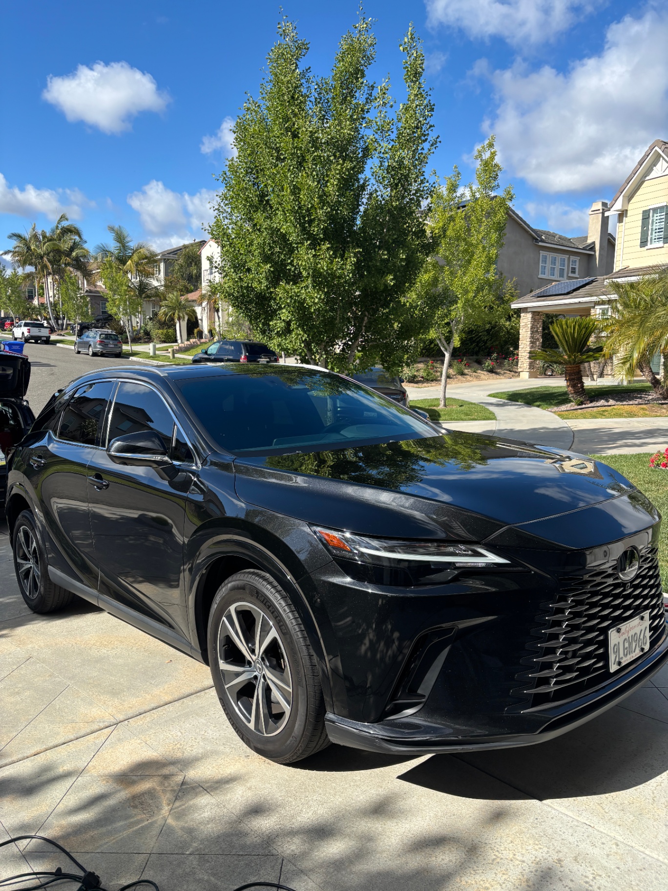 Lexus RX detailed by Mobile Detailing Glendale