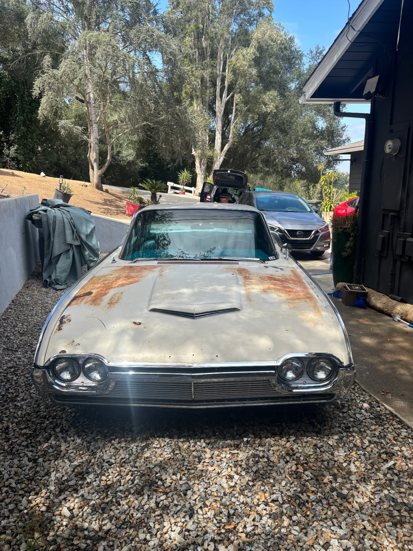 1961 Ford Thunderbird patina paint correction by Mobile Detailing Glendale
